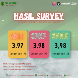 HASIL SURVEI Triwulan I 2025